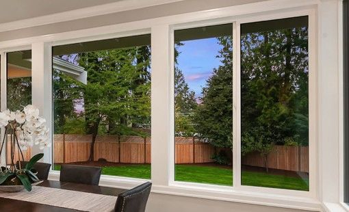 Large modern window with white frame overlooking a lush green backyard.