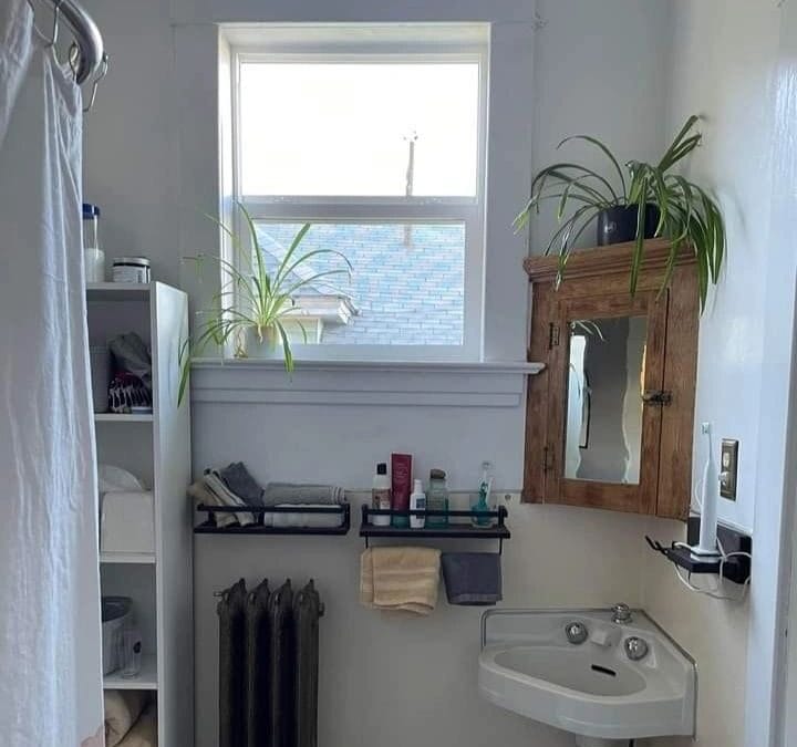 Cozy bathroom with plants, mirror, and vintage sink setup.