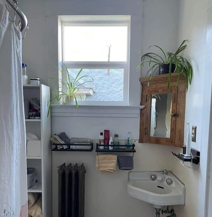 Cozy bathroom with plants, mirror, and vintage sink setup.